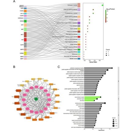 多组学联合网络理学数据分析挖掘代谢组学脂质组python表观基因