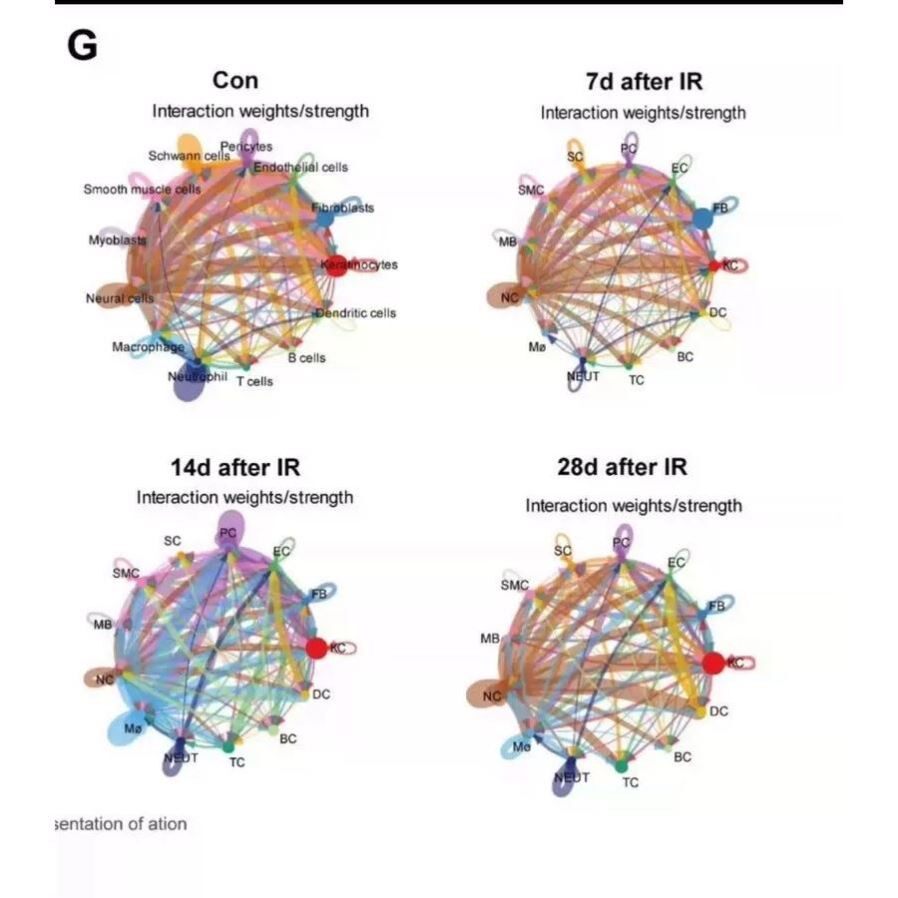 单细胞转录组scRNA-seq全代码流程。 全部代码均有详细中文