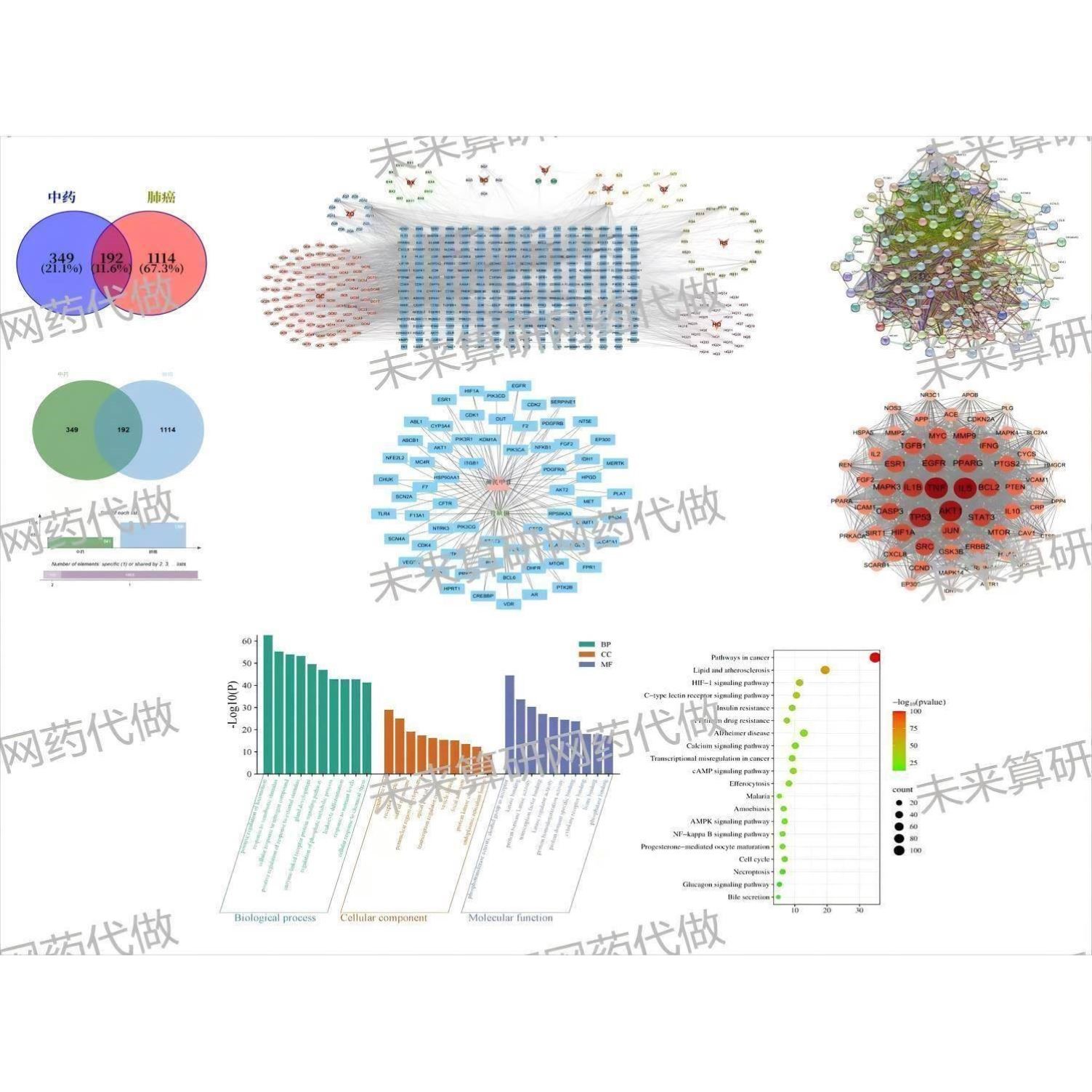专业代做网络药理学,网络药理学,分子对接,分子动力学模拟全套
