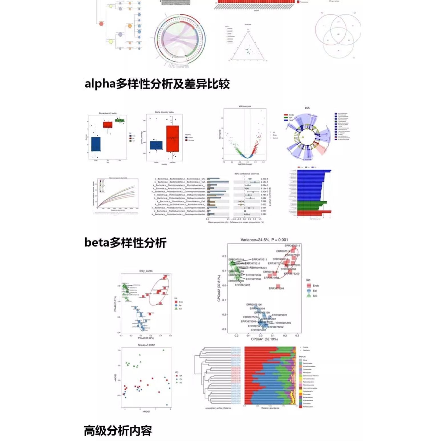 网络药理学faers数据库挖掘/中药复方/分子对接/生信分析套餐服务