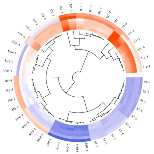 python深度学习ai人工智能学习yolov8机器视觉opencv程序模型训练
