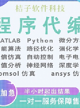 matlab代编程序Python神经网络深度机器学习通信彷真算法模型求解
