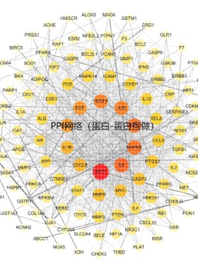 matlab代做图像信号处理神经网络Python深度学习遗传算法通信仿真