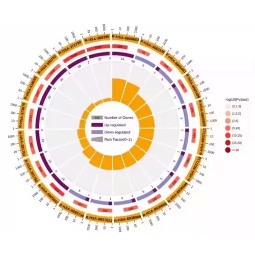 R语言代码脚本整理总结 转录组学 蛋白组学 GEO数据挖掘 TCGA数据