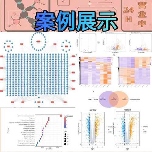 火山图生信制图动物细胞实验TCGA/GEO数据分析