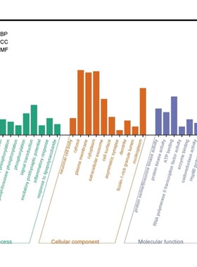 R语言代码Rstudio绘图SCI科研生信医学服务
