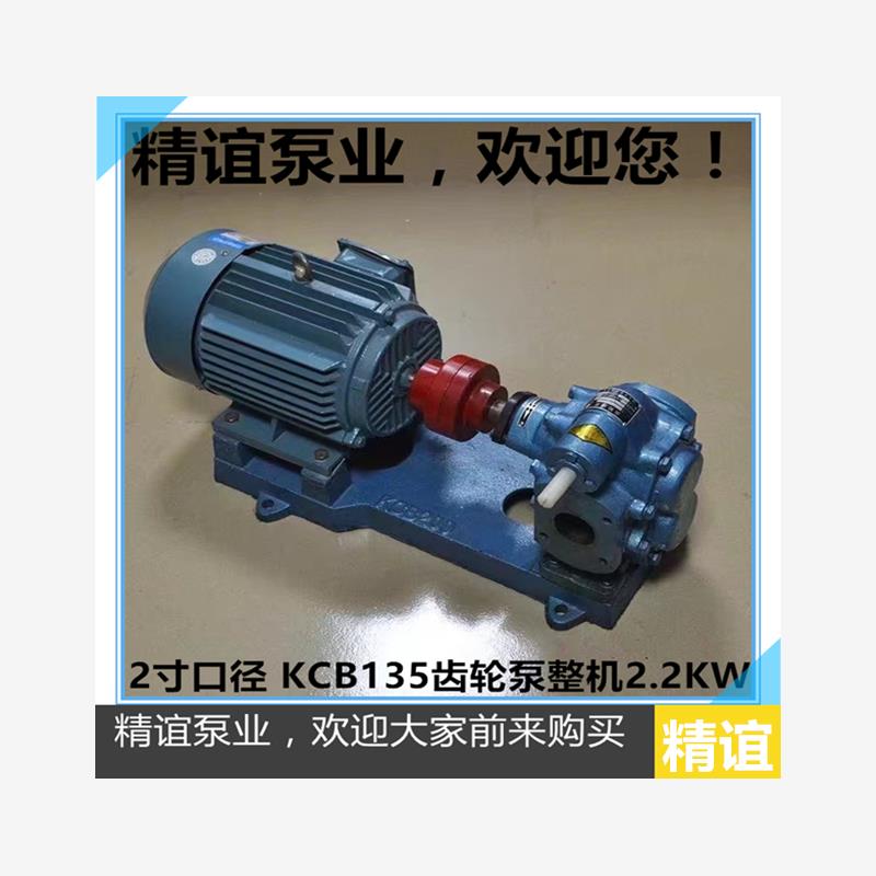 新款高温电动齿轮油泵KCB