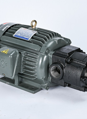 新款替代NOP油泵TOP-N350HB/100升大流量齿轮摆线泵3100现货