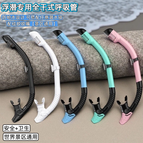 浮潜全干式呼吸管带咬嘴成人男女