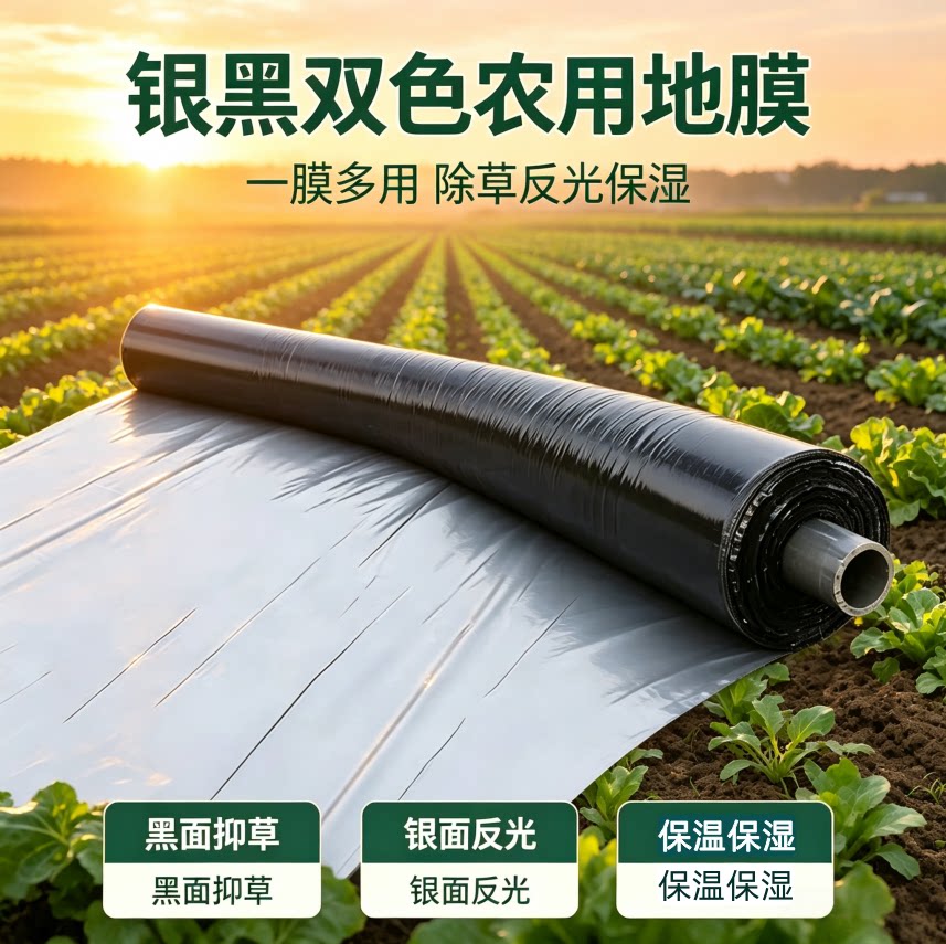 反光地膜除草除虫保温保湿抗老化