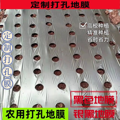 PE薄膜农用地膜保湿反光除草除虫