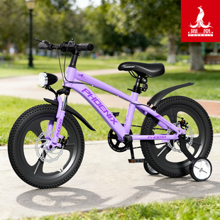 凤凰儿童自行车3到6岁女孩女童16寸脚踏车小学生中大童单车