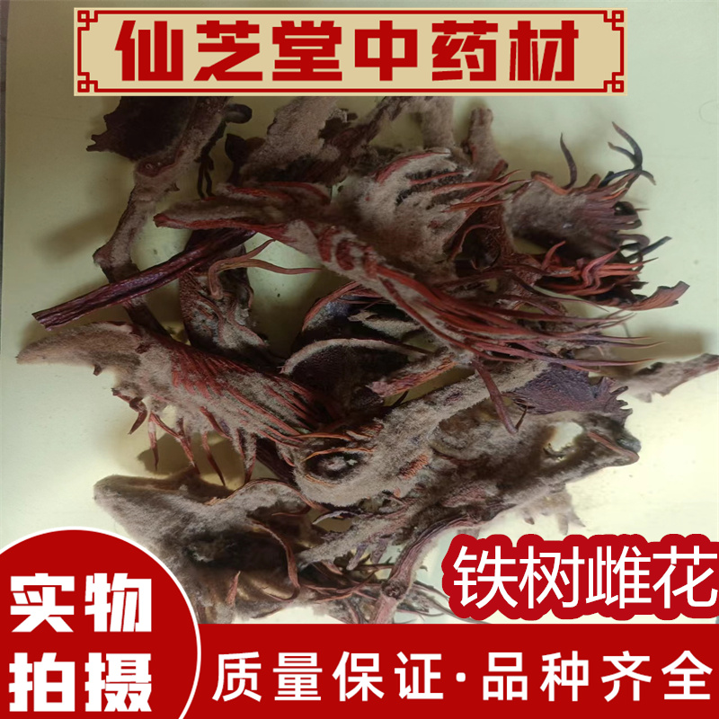 铁树雌花中药材500克包邮正品野生干货另售铁树雄花 铁树果铁树叶