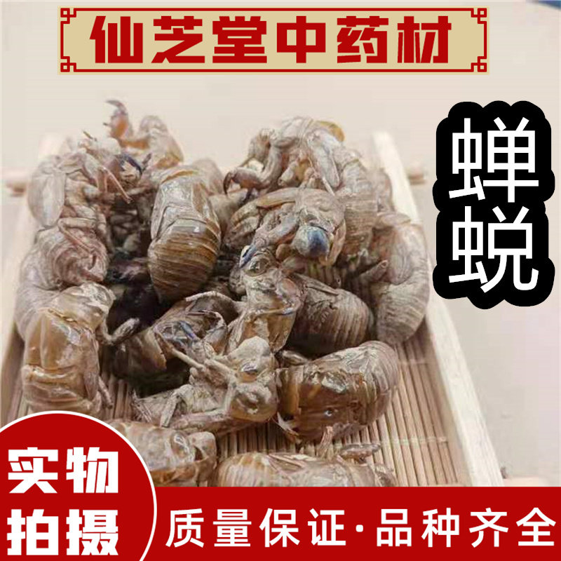 蝉蜕中药材 别名 禅衣 虫蜕 禅壳 知了皮 金牛儿 虫衣 100克包邮