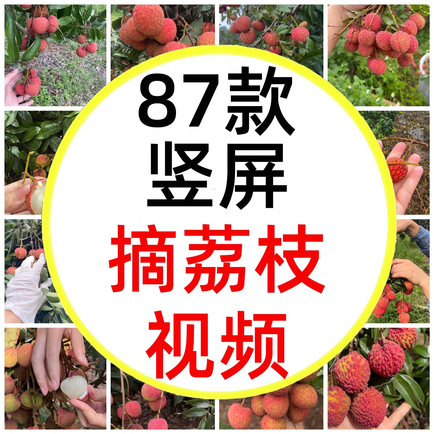 广东采摘荔枝新鲜荔枝桂味荔枝王设计素材/源文件