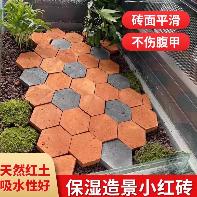 黄缘龟造景小红砖庭院环境布置