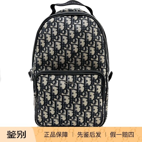 DIOR迪奥 Rider 老花刺绣Oblique提花面料胸包 99新 21263717