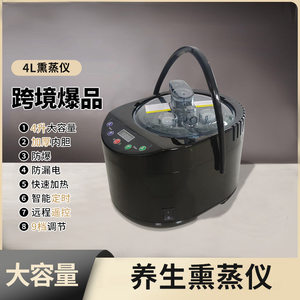汗蒸机4L家用便携养生排汗