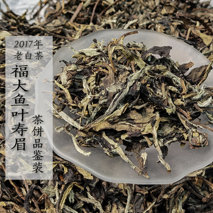 八年陈老白茶2017年福大鱼叶寿眉茶饼 品鉴装 50g/盒  政和白茶