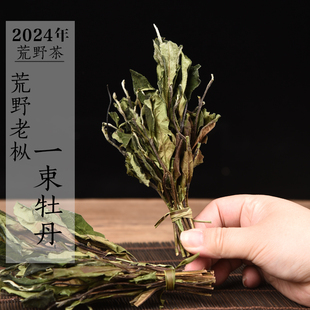 新茶 2024年早春荒野白牡丹 一束牡丹 抛荒扫把茶 政和白茶