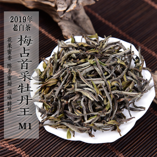 六年陈 2019年首采梅占白牡丹王M1 陈香花果蜜香兰花香政和白茶