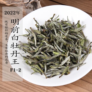 新茶 2022年明前白牡丹王F1-2 特级政和白茶 散茶 50g/500g