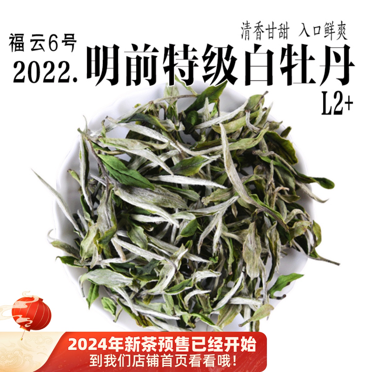 东和茗特级白牡丹物美价廉