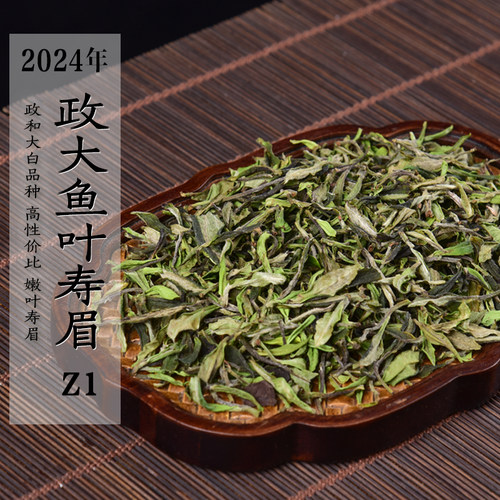 新茶 2024年明前首采鱼叶寿眉Z1 早春政和大白品种余叶寿眉