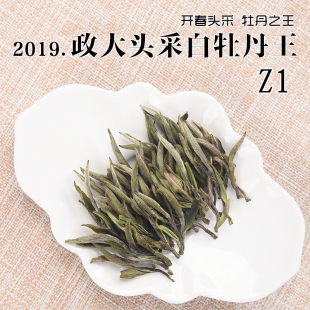 六年陈 2019年头春茶政大头采白牡丹王Z1 华茶5号特级政和白茶