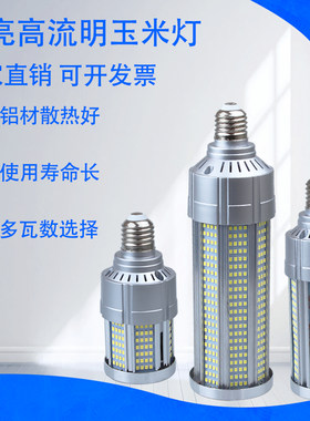 LED玉米灯超亮家用恒流无频闪