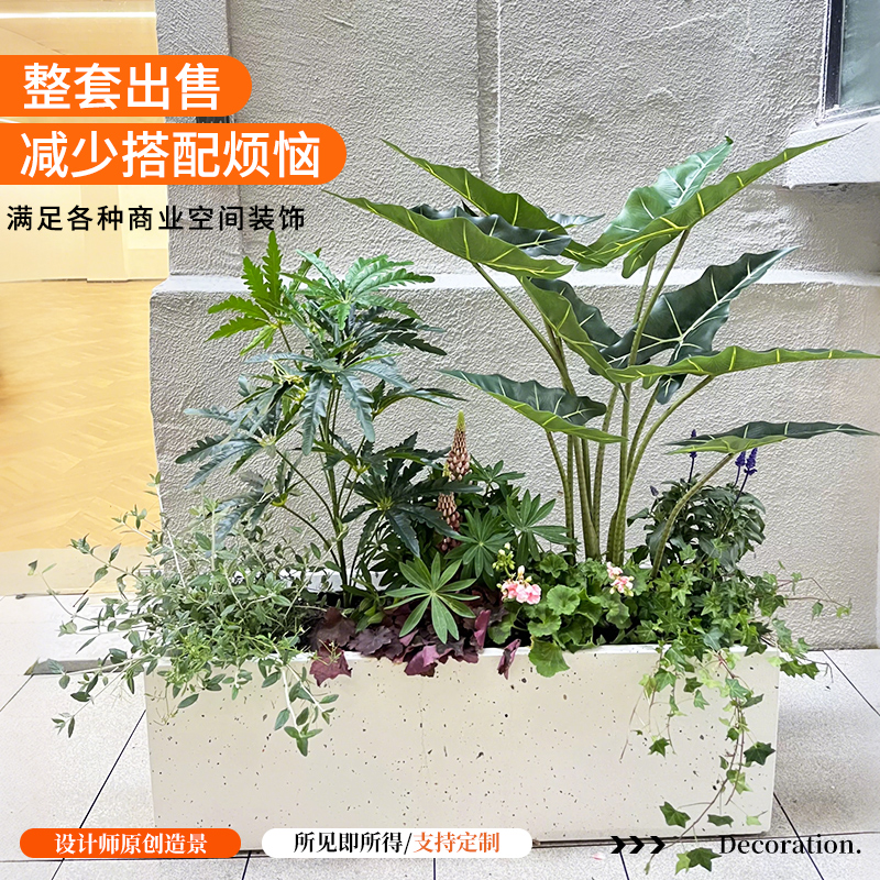 大型绿植造景组合室内客厅阳台成品组合造景盆栽玄关隔断橱窗植物
