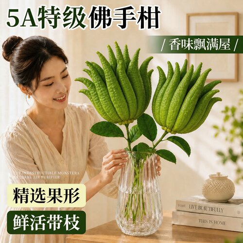 新鲜果植物水培佛手柑带枝天然闻香食用观赏室内好养云南现摘绿植