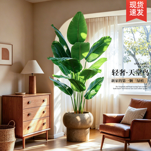 天堂鸟仿真绿植高端轻奢仿生花客厅大型室内盆栽摆件装饰树假植物