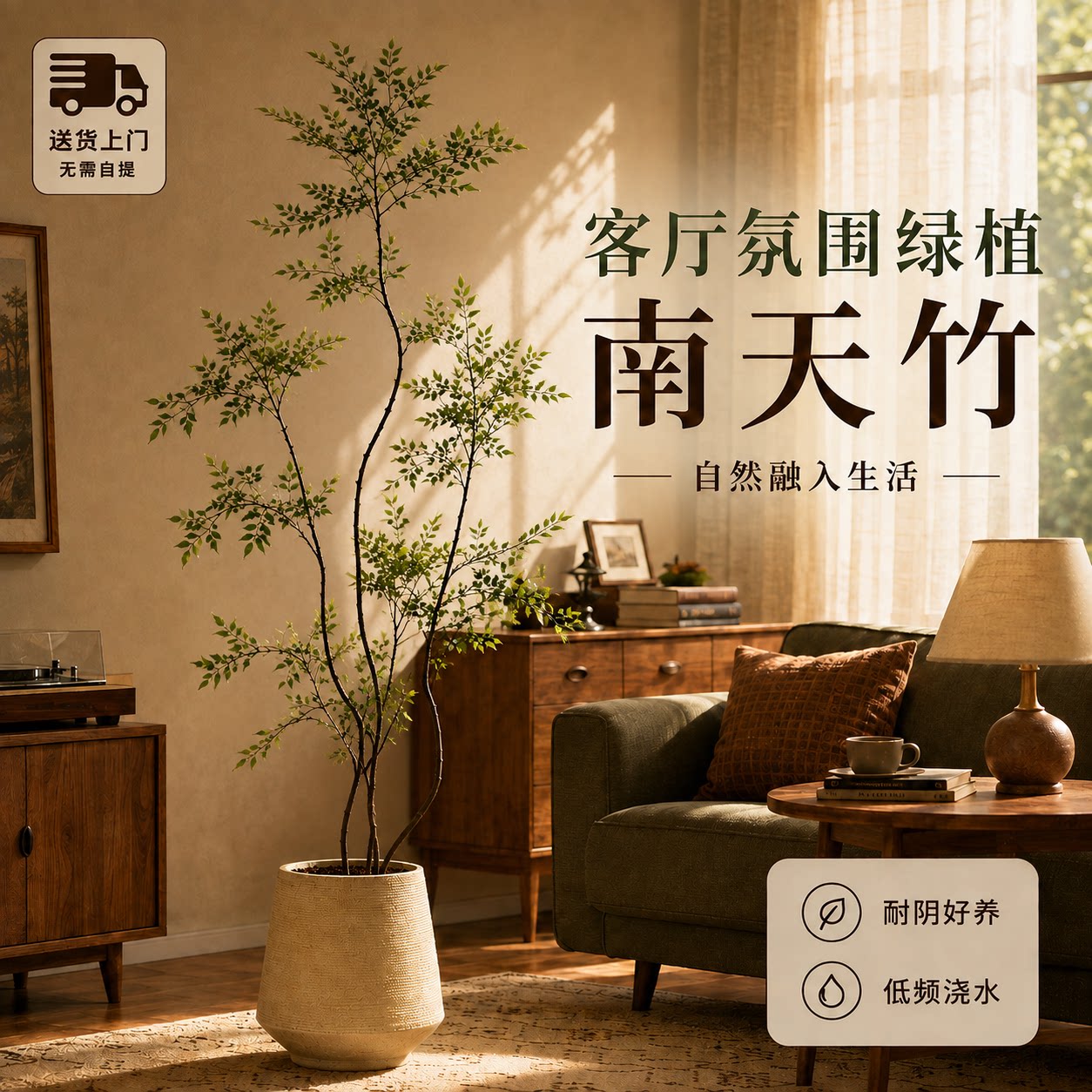 【拍照选货】南天竹客厅绿植图片