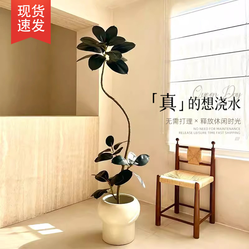 高級感軟裝中古風綠植仿真橡皮樹