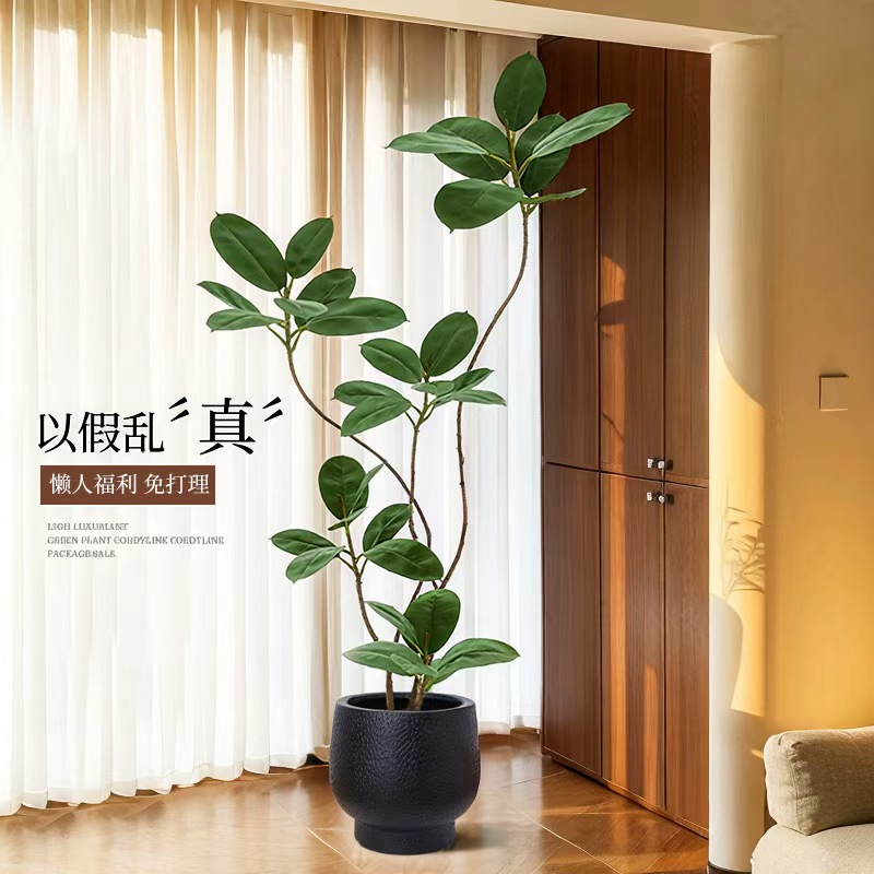 仿真绿植阳台氛围感布置橡皮树