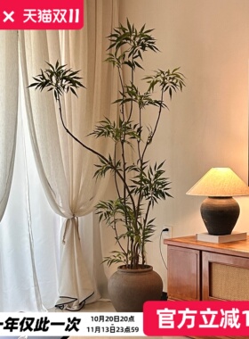 小红书款十大功劳高级感绿植