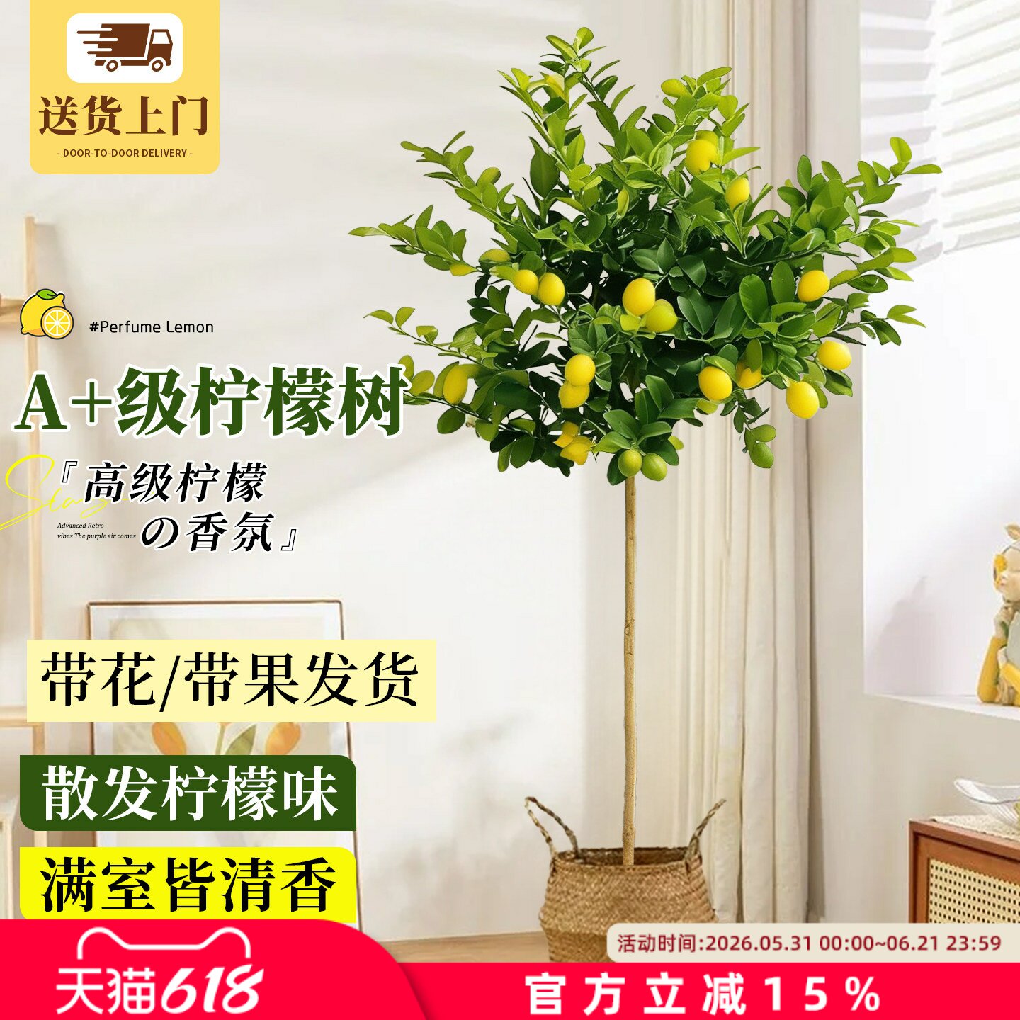 香水柠檬树客厅绿植盆栽带果大型室内办公室老桩盆景高级感绿植物