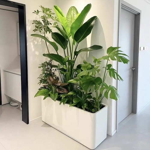 绿植造景阳台大型盆栽