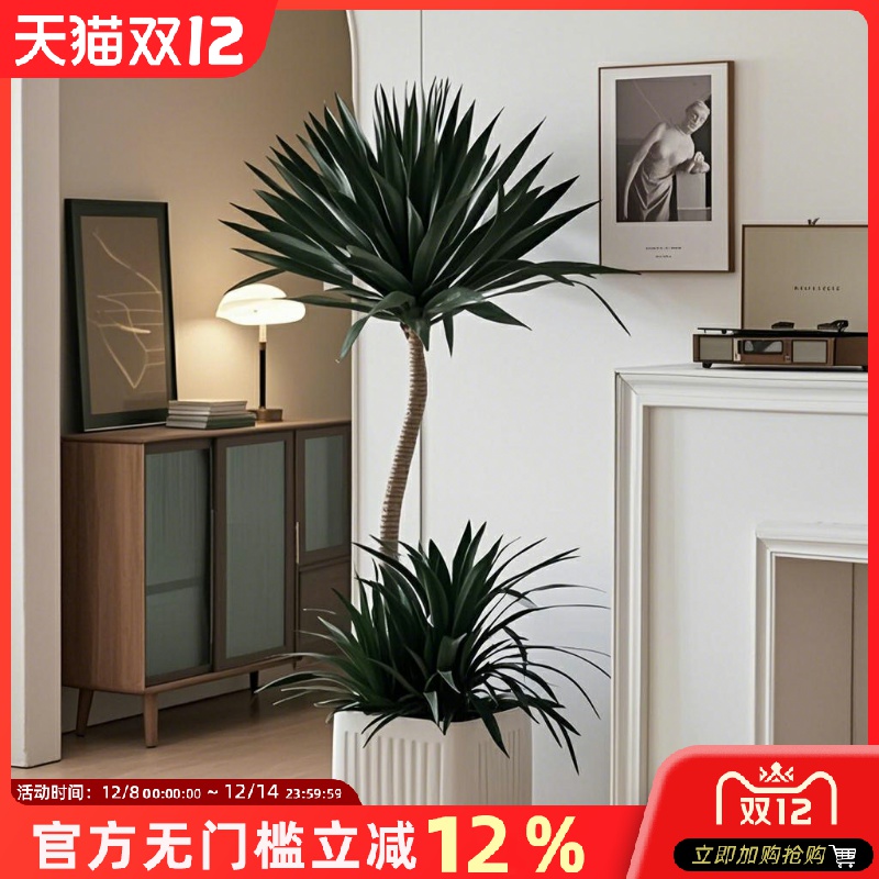 龙血树客厅绿植多头龙须树龙铁树客厅绿植室内大型龙血树植物盆栽