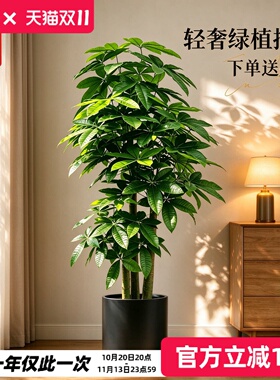 高端仿真绿植发财树室内落地盆栽