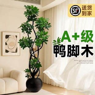 鸭脚木仿真绿植高级感逼真客厅仿生假树大型落地花盆高端轻奢摆件
