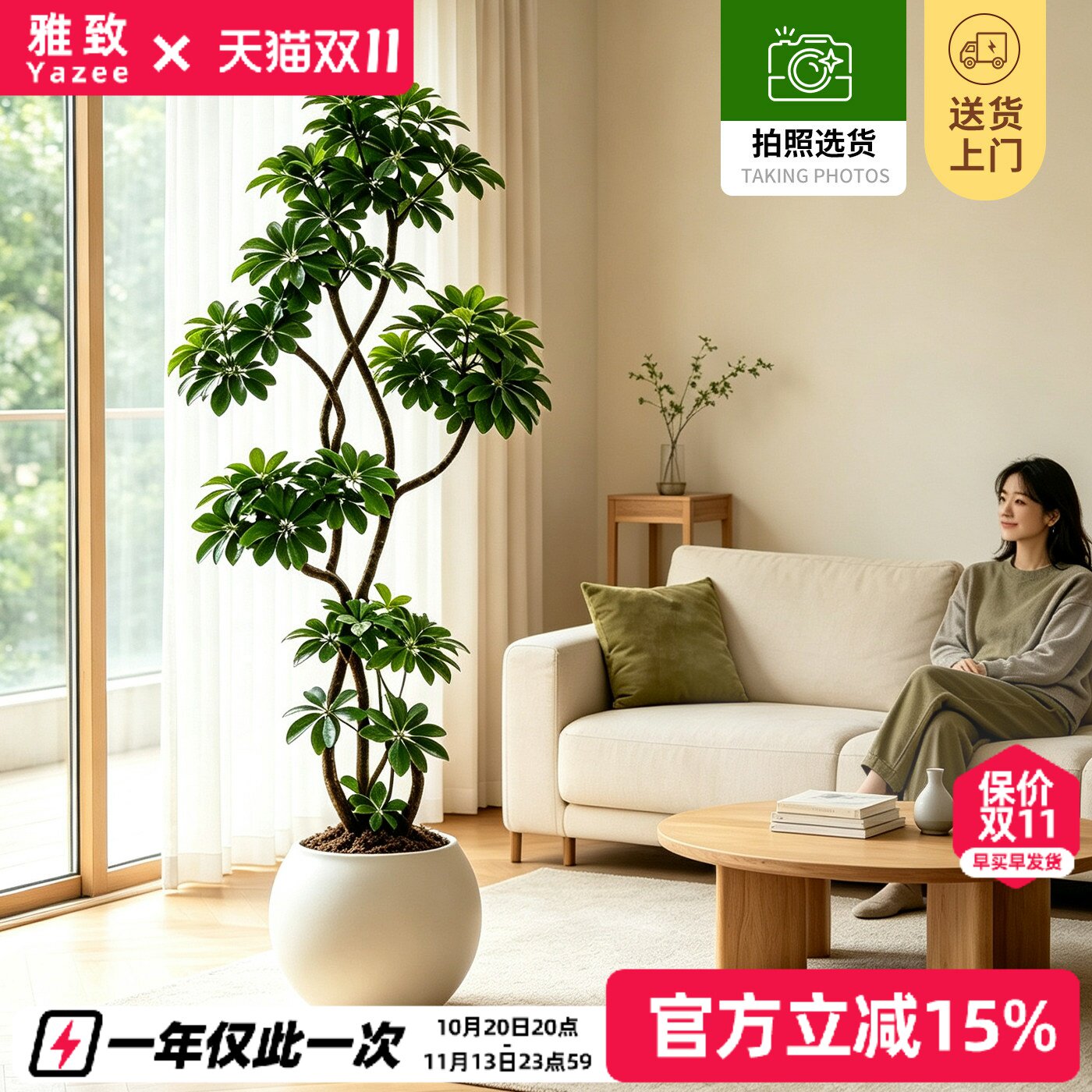 鸭脚木客厅轻奢大绿植高级感室内盆栽八方来财落地办公室四季常青