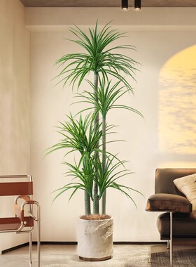 彷真绿色植物盆栽龙血树彷生植物高端轻奢室内客厅装饰树大型落地