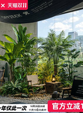 绿植造景仿真植物网红小院造景