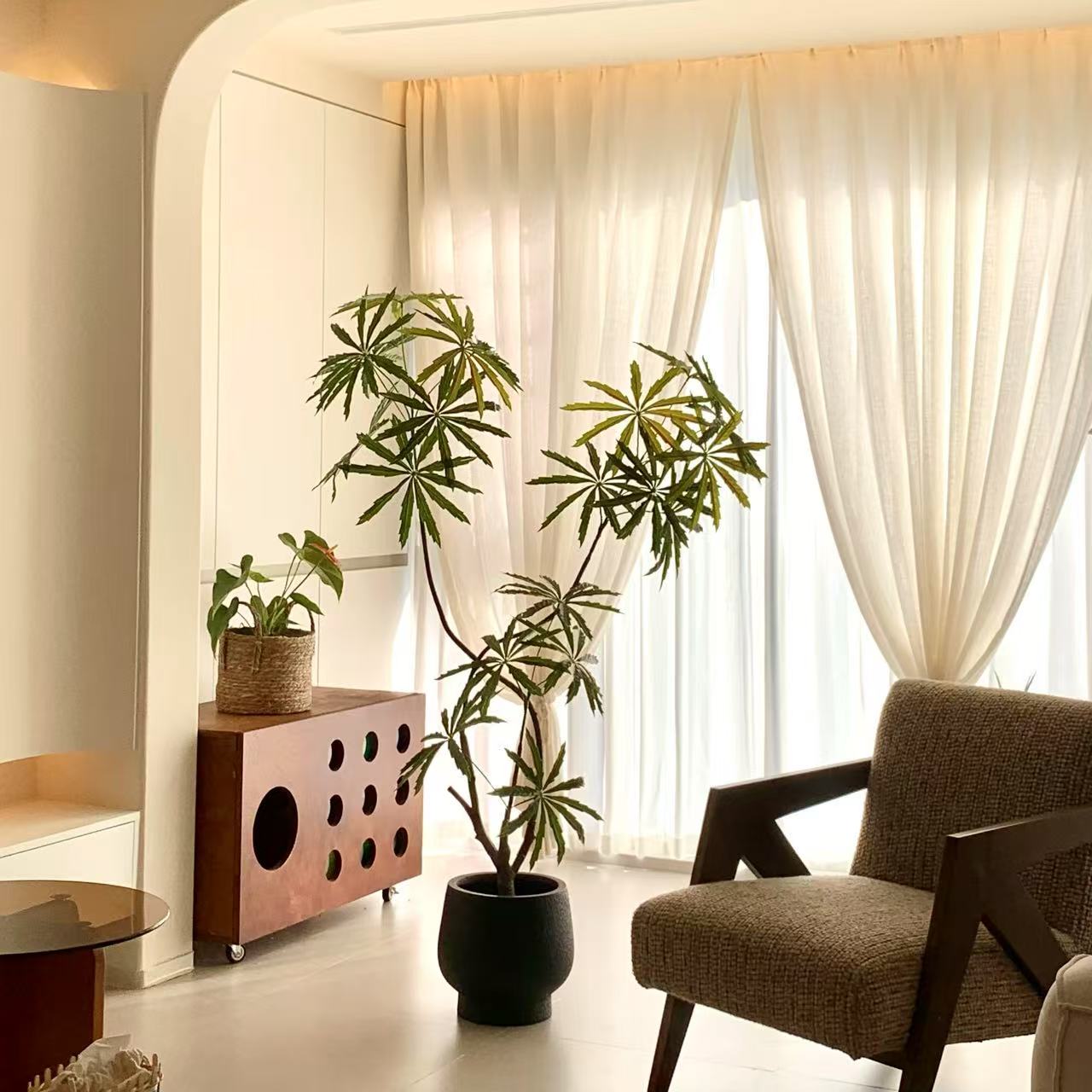 孔雀木仿真綠植高端輕奢客