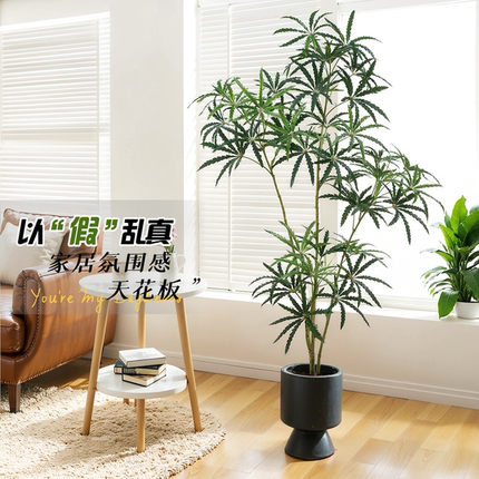 仿真绿植高端轻奢孔雀木中古风客厅室内仿生假绿植高级感逼真摆件