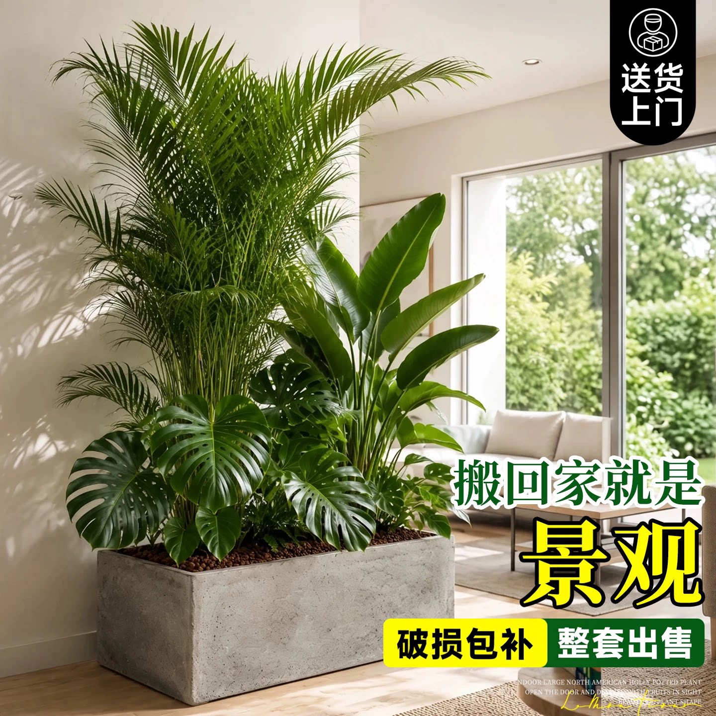 大型绿植成品组合盆栽室内客厅造景真绿植物阳台玄关隔断大号盆景