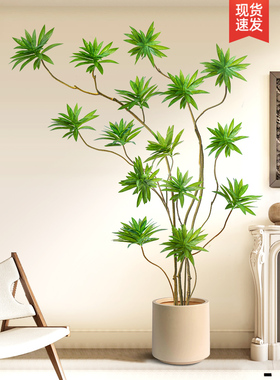 百合竹彷生绿色植物斯堪的纳维亚风地板站立模拟植物盆栽室内客厅