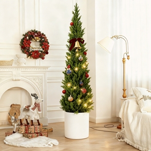 圣诞树龙柏松树真树装饰布置客厅节日场景氛围感大型绿植好养盆栽